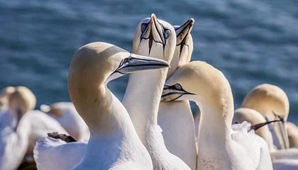 《最后生还者》主演谈尼尔·德鲁克曼退出剧组